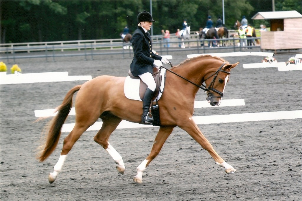 Kath Cunningham, dressage